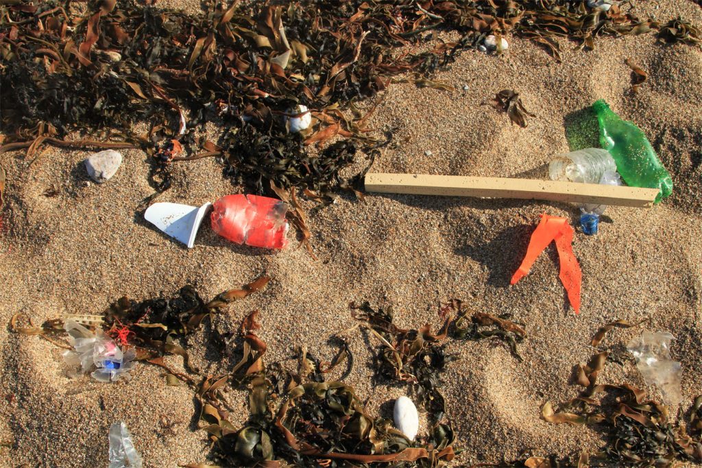 Plastic bottles liter a beach in Hope Cove 1024x683